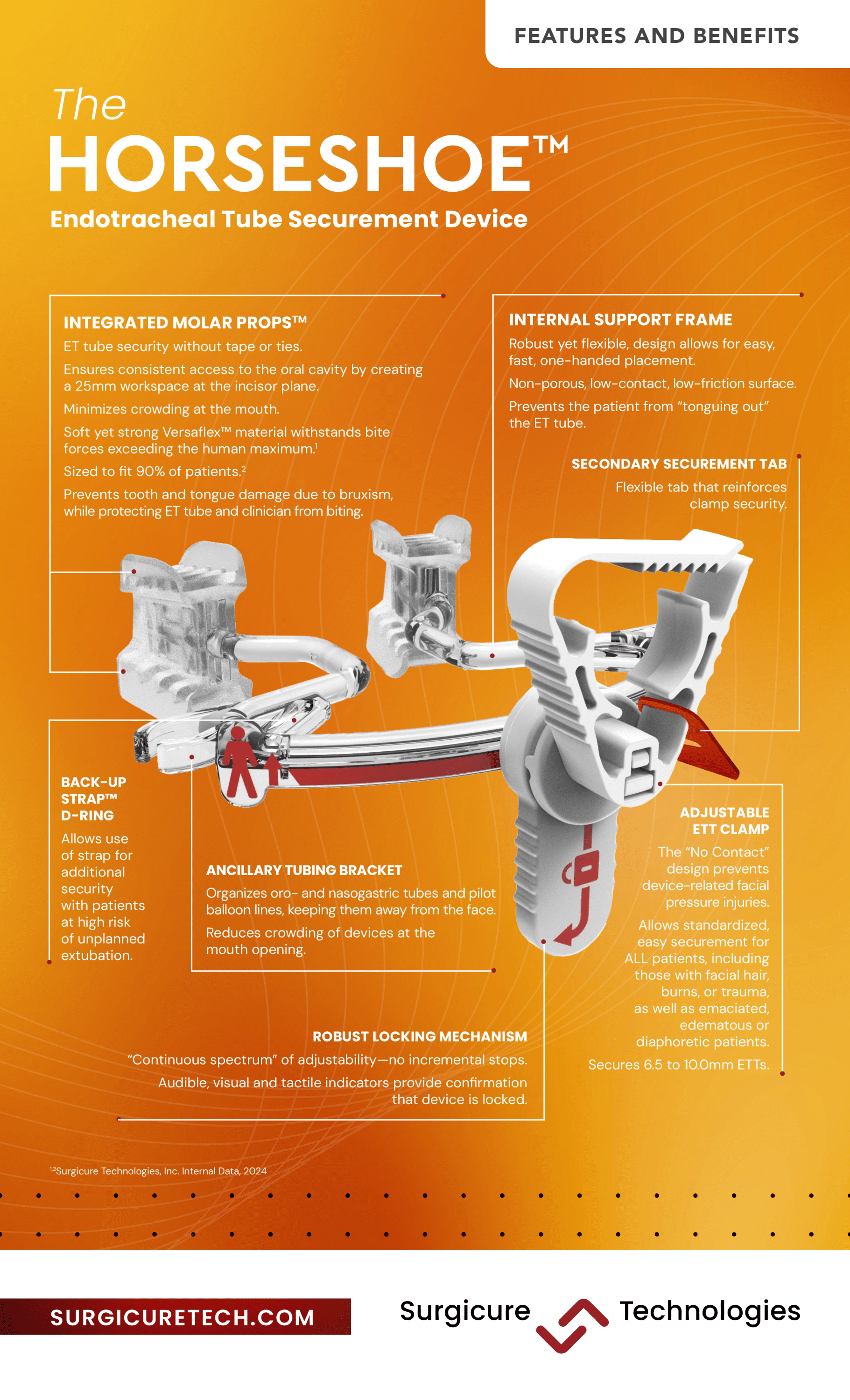Surgicure_HORSESHOE_Anatomy Brochure Surgicure HORSESHOE Anatomy Brochure